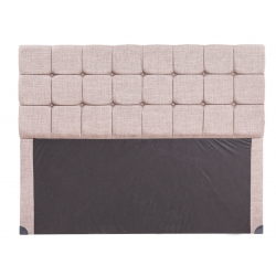 Whis Bett Patara Başlık
